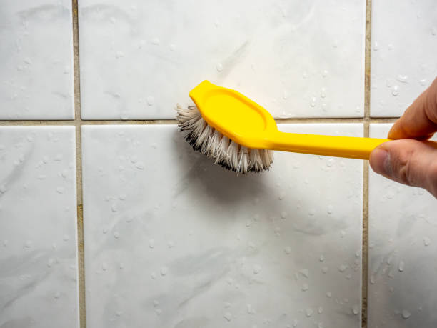 Best Certified Mold Removal  in Valle Vista, CA