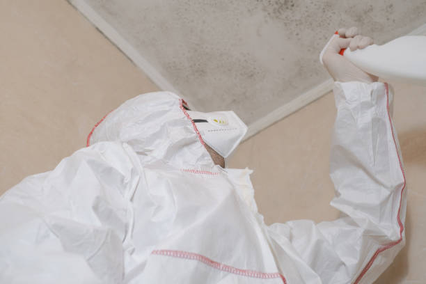 Best Mold Cleaning Services  in Valle Vista, CA