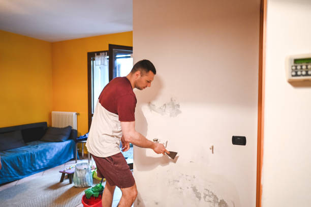 Best Home Mold Removal  in Valle Vista, CA