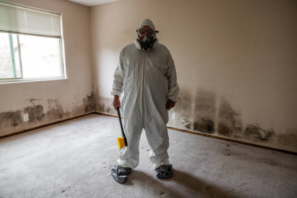 Best Residential Mold Removal  in Valle Vista, CA