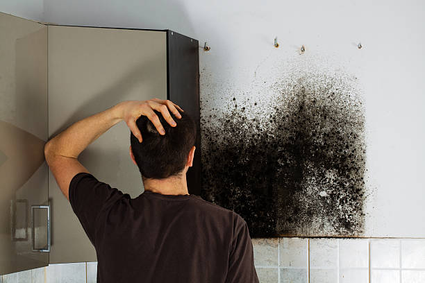Best Crawl Space Mold Removal  in Valle Vista, CA