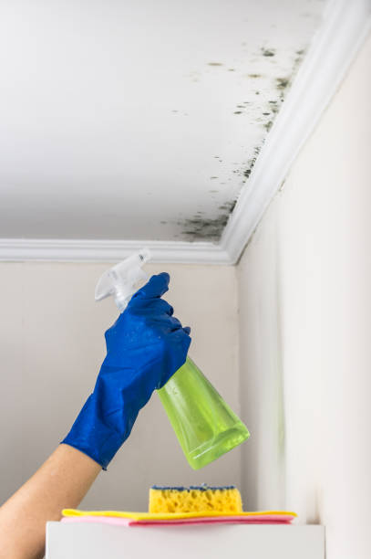 Best Mold Testing  in Valle Vista, CA